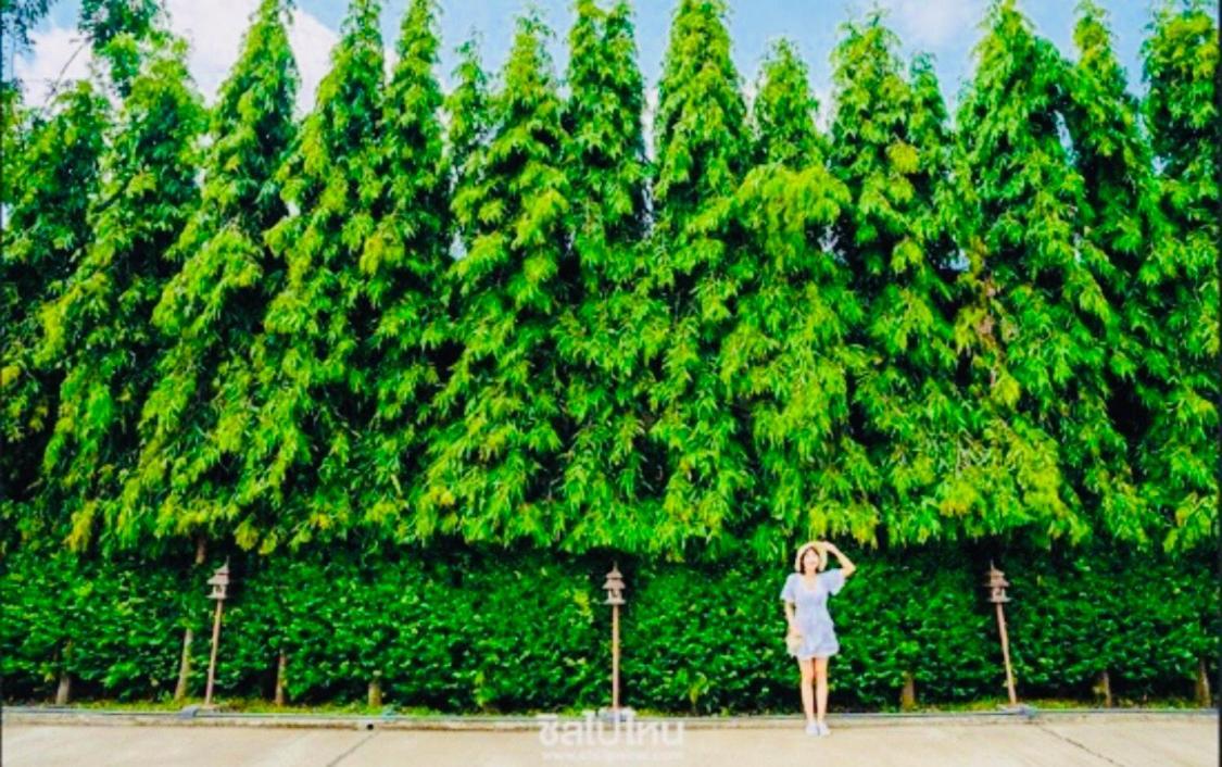 The Green Residence 304 Si Maha Phot Экстерьер фото